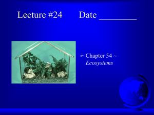 Lecture #24 Date ________ ~ Ecosystems