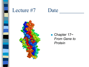 Lecture #7 Date _________ Chapter 17~ From Gene to