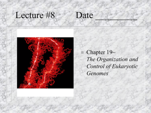 Lecture #8 Date _________ Chapter 19~ The Organization and
