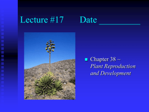 Lecture #17 Date _________ Chapter 38 ~ Plant Reproduction