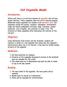 Cell Organelle Model  Introduction: