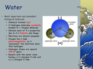 Water  Most important and abundant biological molecule