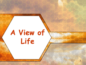 A View of Life 1