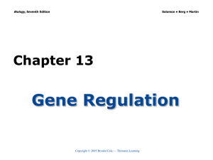 Gene Regulation Chapter 13 Biology, Copyright © 2005 Brooks/Cole — Thomson Learning