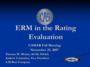 ERM in the Rating Evaluation CAMAR Fall Meeting November 29, 2007