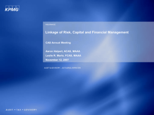 Linkage of Risk, Capital and Financial Management CAS Annual Meeting