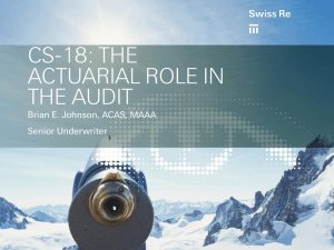 CS-18: THE ACTUARIAL ROLE IN THE AUDIT Brian E. Johnson, ACAS, MAAA