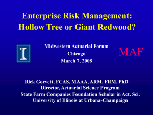 MAF Enterprise Risk Management: Hollow Tree or Giant Redwood?