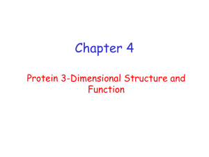 Chapter 4 Protein 3-Dimensional Structure and Function