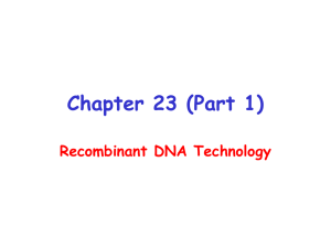 Chapter 23 (Part 1) Recombinant DNA Technology