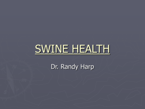 SWINE HEALTH Dr. Randy Harp