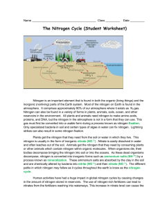 The Nitrogen Cycle (Student Worksheet)