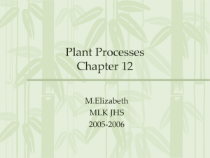 Plant Processes Chapter 12 M.Elizabeth MLK JHS
