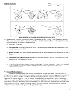Critical thinking understanding natural selection worksheet answers