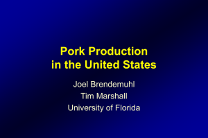 Pork Production in the United States Joel Brendemuhl Tim Marshall
