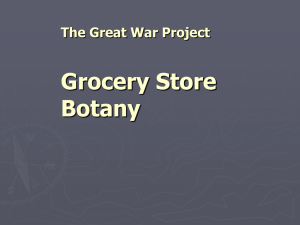 Grocery Store Botany The Great War Project