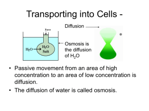 Transporting into Cells -
