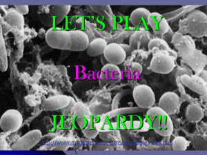 LET’S PLAY JEOPARDY!! Bacteria
