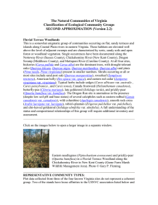 The Natural Communities of Virginia Classification of Ecological Community Groups