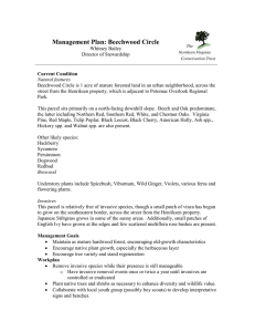 Management Plan: Beechwood Circle