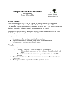 Management Plan: Little Falls Forest