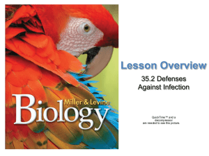 Lesson Overview 35.2 Defenses Against Infection Defenses Against Infection