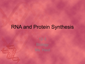 RNA and Protein Synthesis 12-3 Biology Ms. Haut