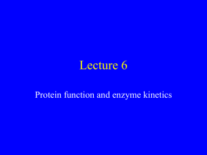 Lecture 6 Protein function and enzyme kinetics