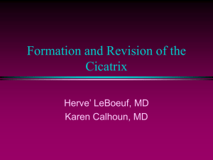 Formation and Revision of the Cicatrix Herve’ LeBoeuf, MD Karen Calhoun, MD