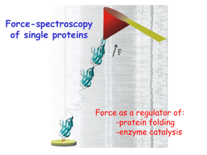 Force-spectroscopy of single proteins Force as a regulator of: -protein folding