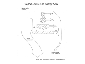 Trophic Levels And Energy Flow Fundamentals of  Ecology