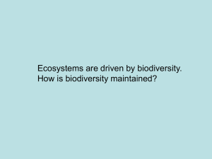 Ecosystems are driven by biodiversity. How is biodiversity maintained?