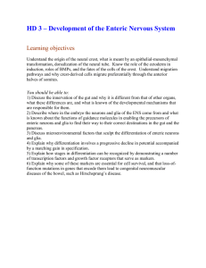 HD 3 – Development of the Enteric Nervous System Learning objectives