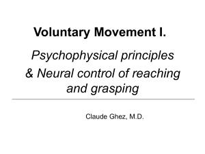 Voluntary Movement I. Psychophysical principles &amp; Neural control of reaching and grasping