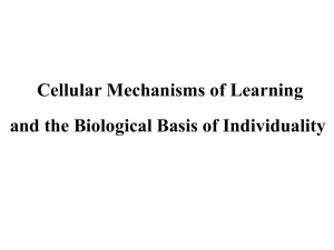 Cellular Mechanisms of Learning and the Biological Basis of Individuality