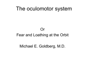 The oculomotor system Or Fear and Loathing at the Orbit