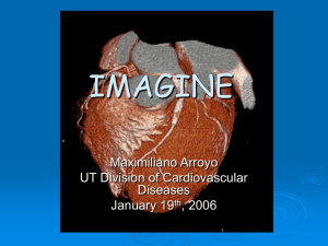 IMAGINE Maximiliano Arroyo UT Division of Cardiovascular Diseases