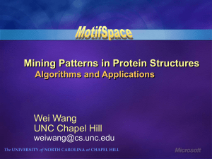 Mining Patterns in Protein Structures Wei Wang UNC Chapel Hill Algorithms and Applications
