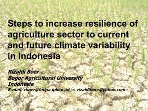Steps to increase resilience of agriculture sector to current in Indonesia