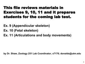 This file reviews materials in students for the coming lab test.