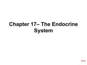 – The Endocrine Chapter 17 System 17-1