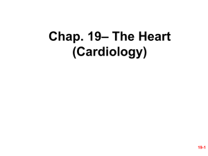 – The Heart Chap. 19 (Cardiology) 19-1