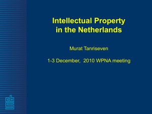 Intellectual Property in the Netherlands Murat Tanriseven 1-3 December,  2010 WPNA meeting