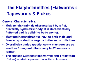 The Platyhelminthes (Flatworms): Tapeworms &amp; Flukes