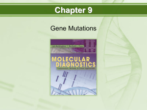 Chapter 9 Gene Mutations