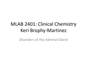 MLAB 2401: Clinical Chemistry Keri Brophy-Martinez Disorders of the Adrenal Gland