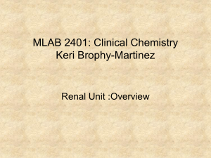 MLAB 2401: Clinical Chemistry Keri Brophy-Martinez Renal Unit :Overview