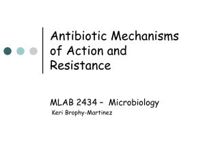 Antibiotic Mechanisms of Action and Resistance MLAB 2434 – Microbiology