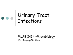 Urinary Tract Infections MLAB 2434 –Microbiology Keri Brophy-Martinez