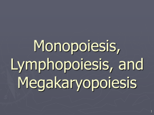 Monopoiesis, Lymphopoiesis, and Megakaryopoiesis 1